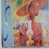 Record 7 - Image 3